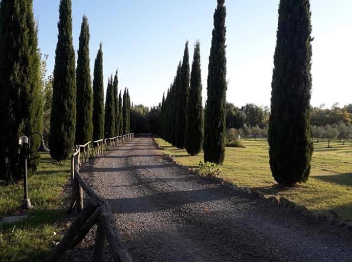 טרקיניה Agriturismo Lupo Cerrino מראה חיצוני תמונה
