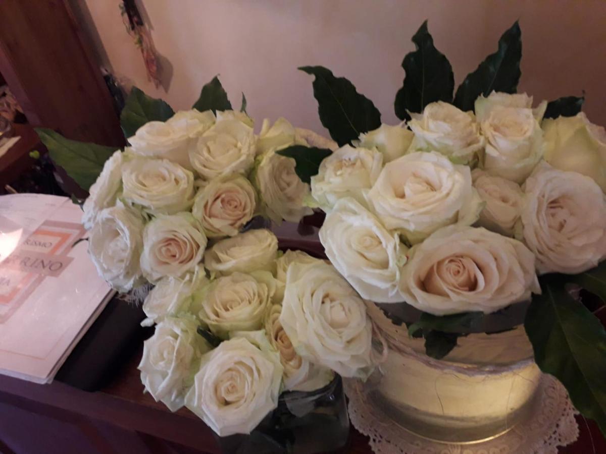 טרקיניה Agriturismo Lupo Cerrino מראה חיצוני תמונה