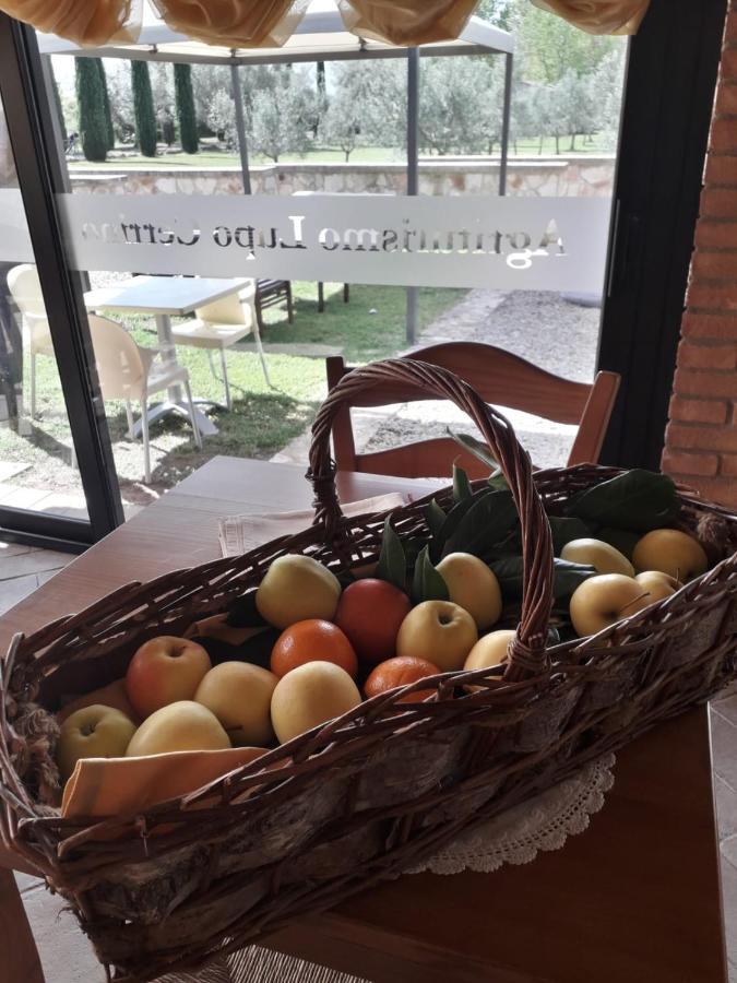 טרקיניה Agriturismo Lupo Cerrino מראה חיצוני תמונה